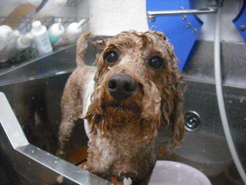 ファイル 294-2.jpg