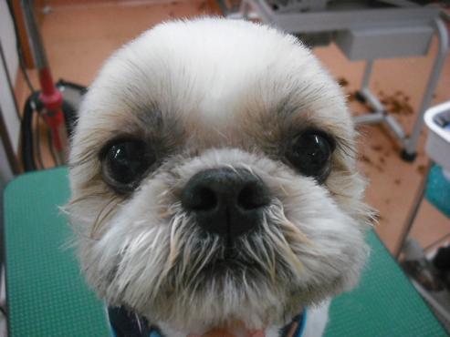 ファイル 2940-1.jpg