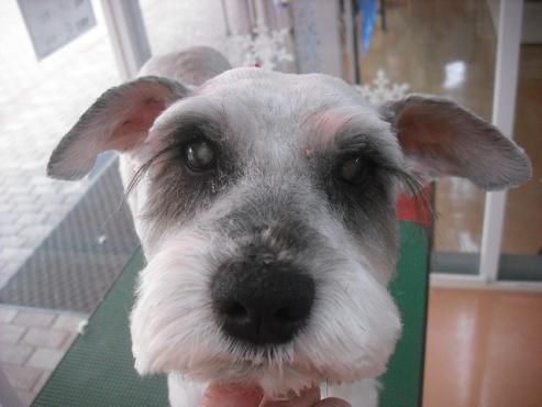 ファイル 2941-1.jpg