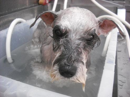 ファイル 2941-2.jpg