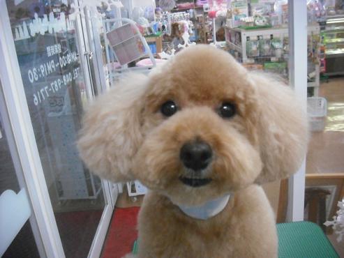 ファイル 2942-1.jpg