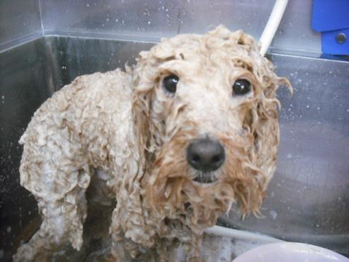 ファイル 2942-2.jpg