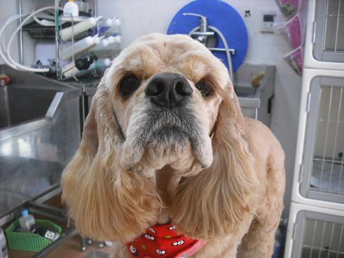 ファイル 2943-1.jpg