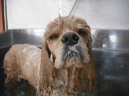 ファイル 2943-2.jpg