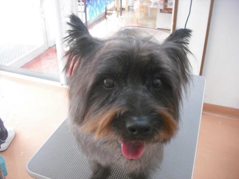 ファイル 2944-1.jpg