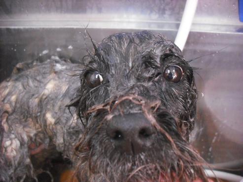 ファイル 2944-2.jpg