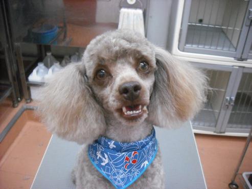 ファイル 2945-1.jpg