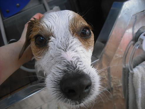 ファイル 2946-2.jpg