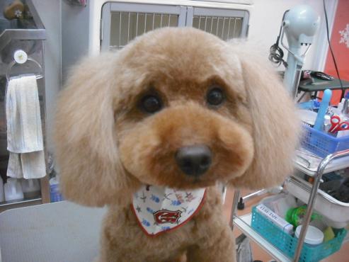 ファイル 2948-1.jpg