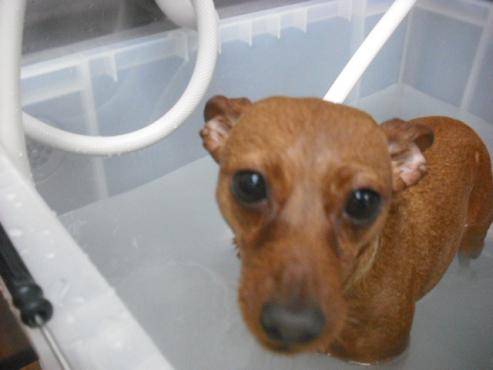 ファイル 2949-2.jpg