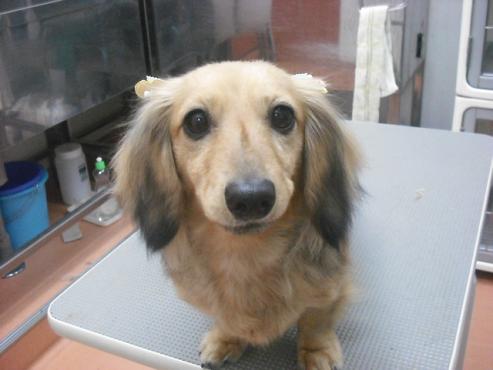 ファイル 295-1.jpg