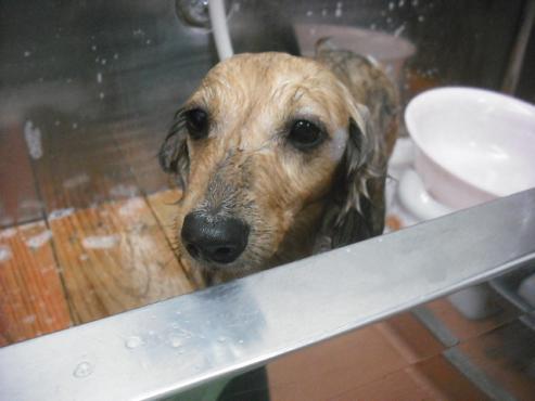 ファイル 295-2.jpg