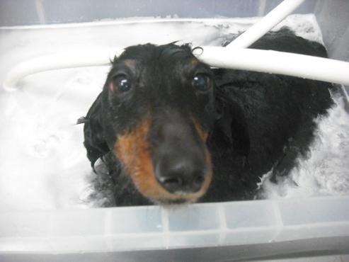 ファイル 2951-2.jpg