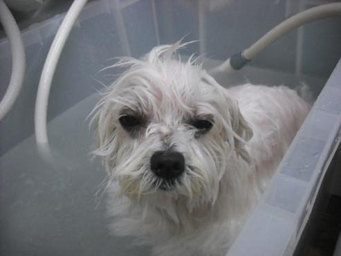 ファイル 2952-2.jpg