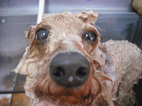 ファイル 2953-2.jpg