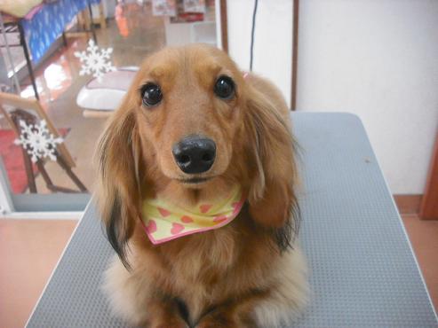 ファイル 2957-1.jpg