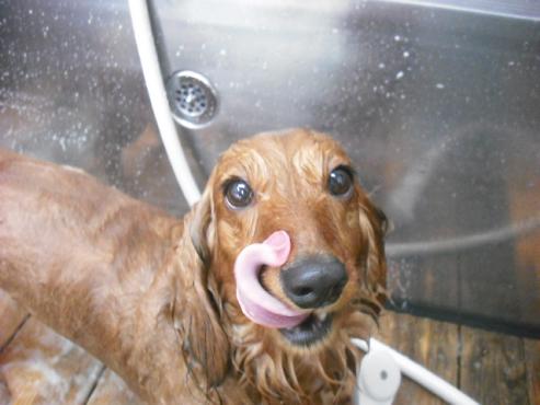 ファイル 2957-2.jpg