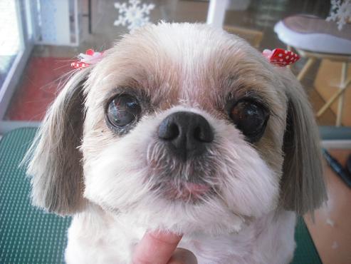 ファイル 2958-1.jpg