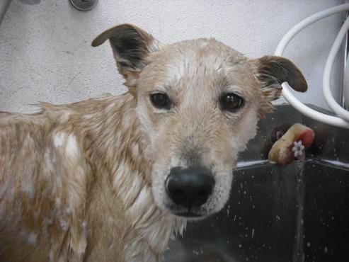 ファイル 2959-2.jpg