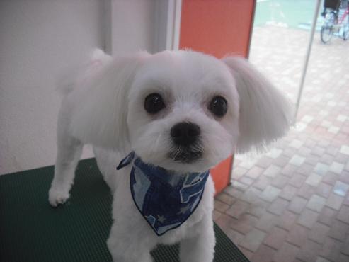 ファイル 296-1.jpg