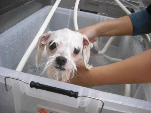 ファイル 296-2.jpg