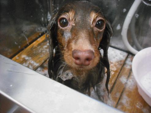 ファイル 2960-2.jpg