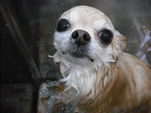 ファイル 2961-2.jpg