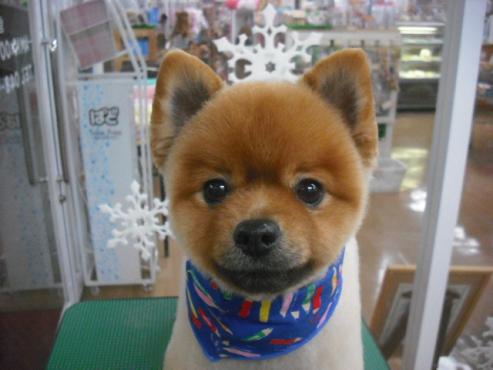 ファイル 2962-1.jpg