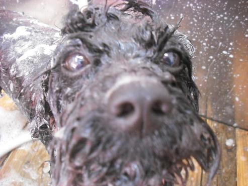 ファイル 2963-2.jpg