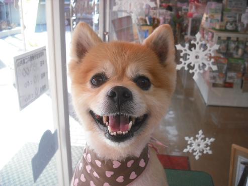 ファイル 2964-1.jpg