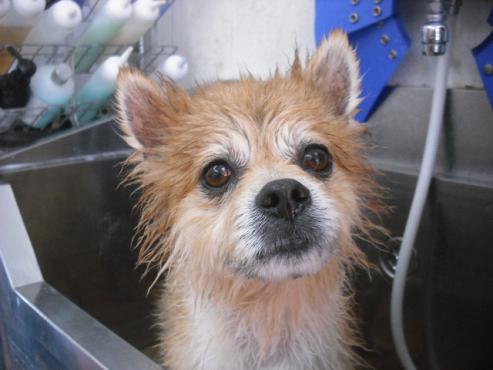 ファイル 2964-2.jpg