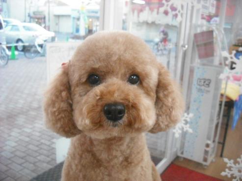 ファイル 2965-1.jpg