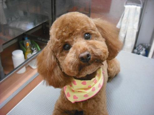 ファイル 2967-1.jpg