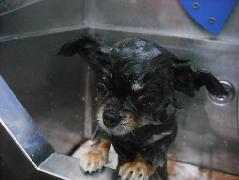 ファイル 297-2.jpg