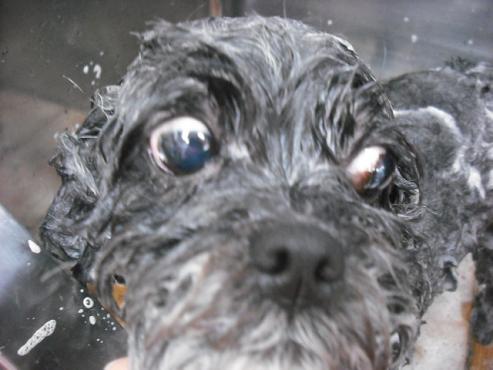 ファイル 2971-2.jpg