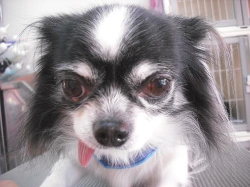 ファイル 2973-1.jpg