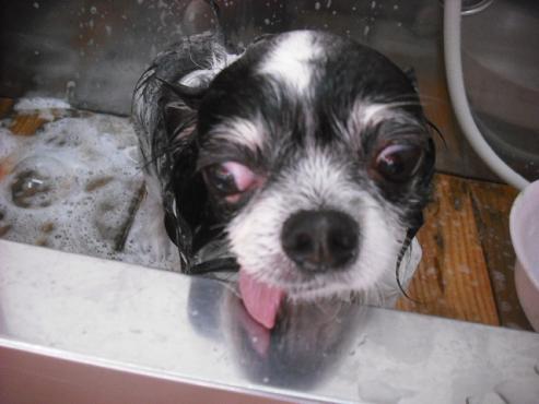 ファイル 2973-2.jpg