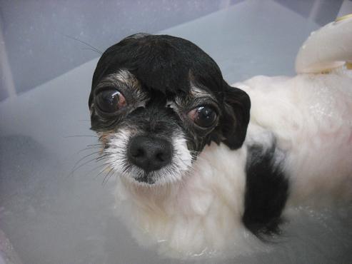 ファイル 2974-2.jpg