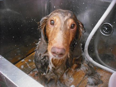 ファイル 2976-2.jpg