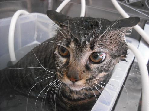 ファイル 2977-2.jpg