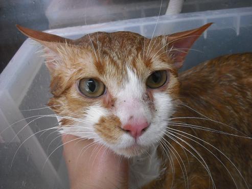 ファイル 2978-2.jpg