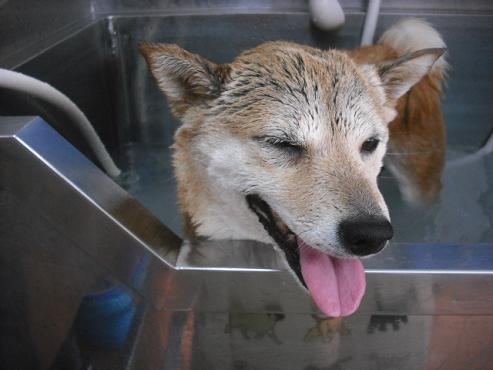 ファイル 2979-2.jpg