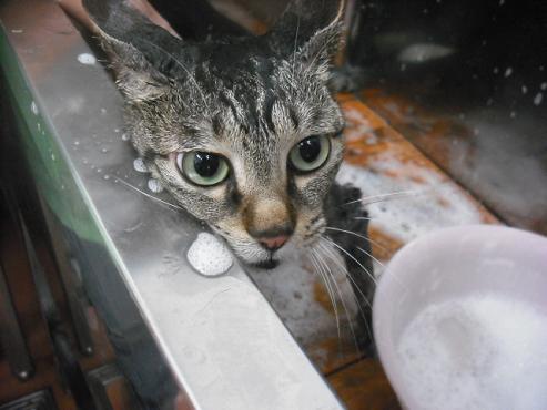 ファイル 298-2.jpg