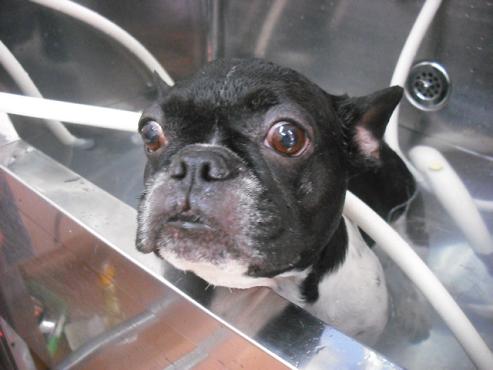 ファイル 2980-2.jpg