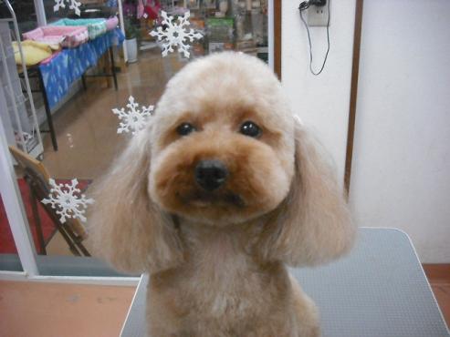 ファイル 2981-1.jpg