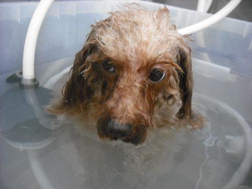 ファイル 2981-2.jpg