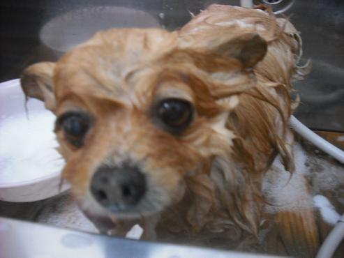 ファイル 2982-2.jpg