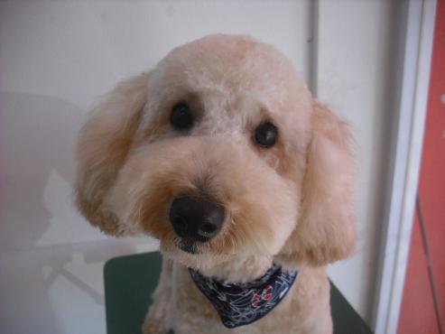 ファイル 2983-1.jpg