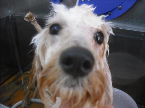 ファイル 2983-2.jpg