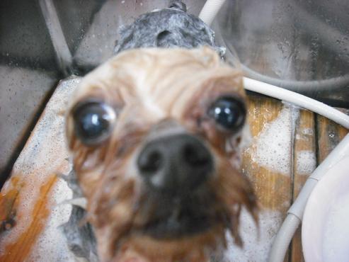 ファイル 2985-2.jpg